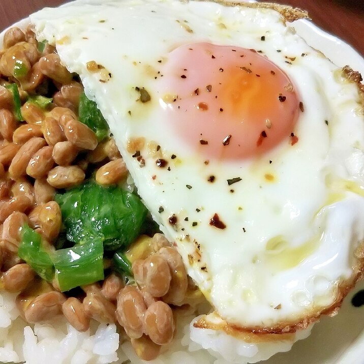節約だけど豪華に見える 納豆 目玉焼きごはん レシピ 作り方 By こざかなアーモンド 楽天レシピ 節約だけど豪華に見える 納豆 目玉焼きごはん レシピ 作り方 By こざかなアーモンド 楽天レシピ